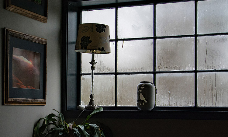 windows, rain